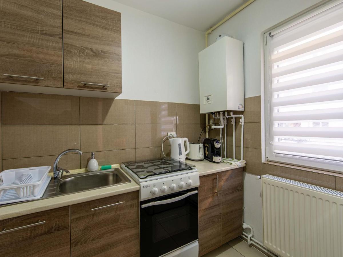 Ionita Apartament 시비우 외부 사진